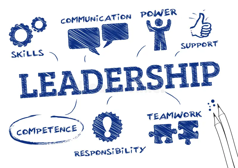 Leadership Development and Coaching